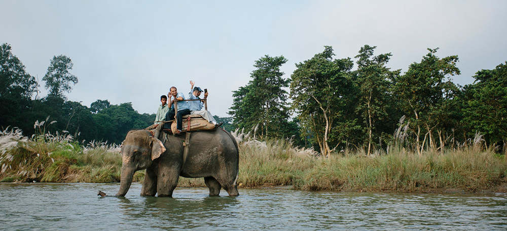 Elephan Ride in Chitwan National Park